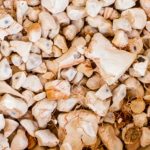 El-baobab-el-nuevo-superalimento ¿UN SUPERALIMENTO QUE TE DÉ ENERGÍA, SEA ANTIOXIDANTE Y NUTRITIVO?